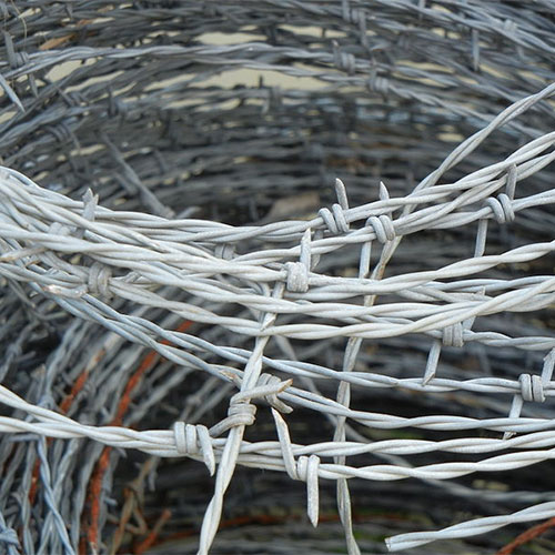 barbed_wire